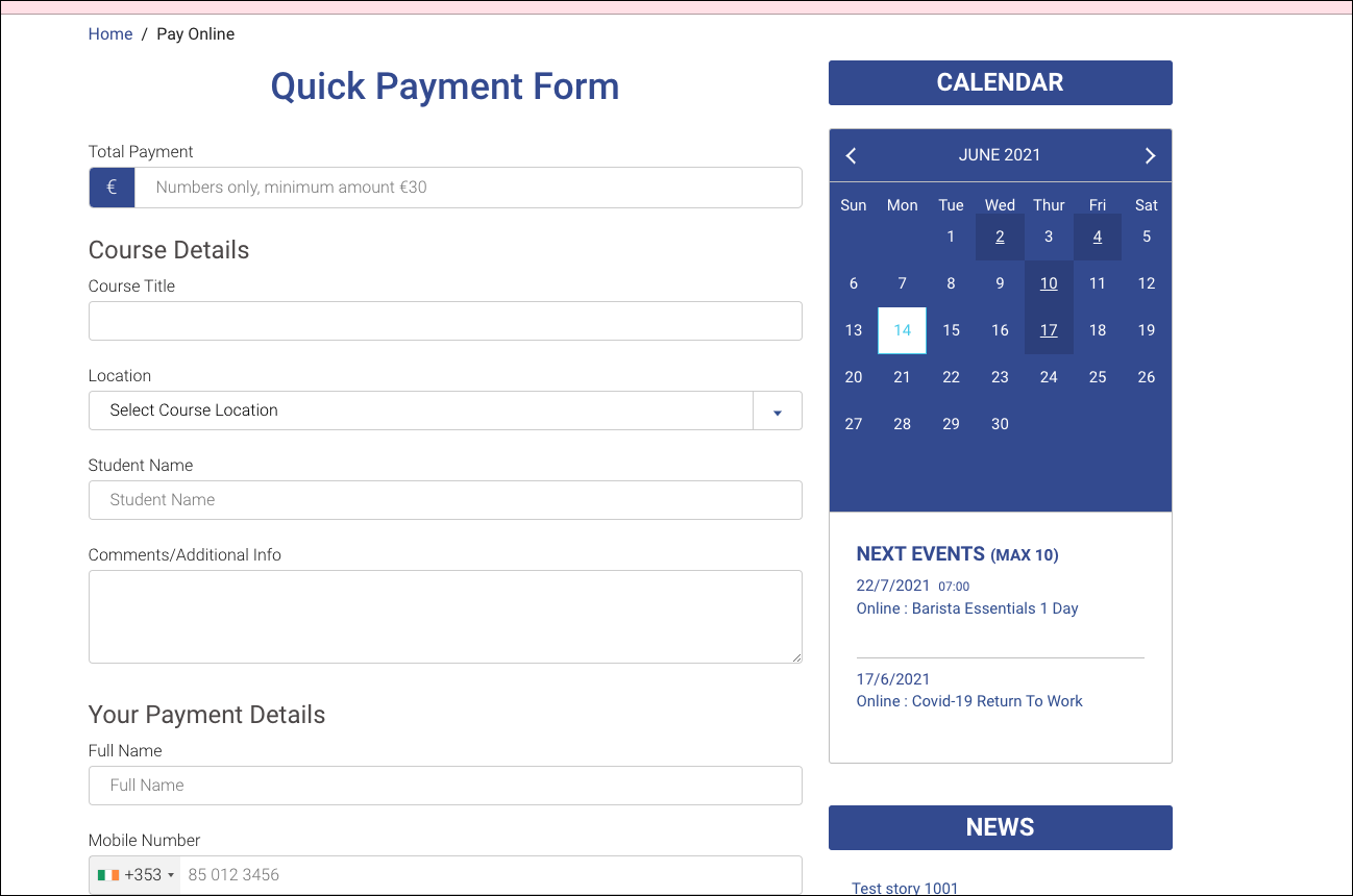 pay_online_form.png